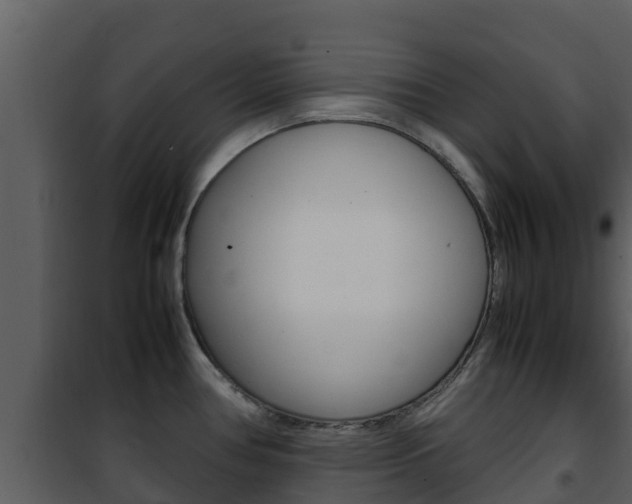 X0000101991386200807180814