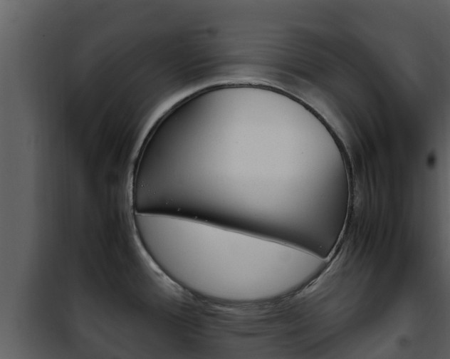 X0000101991388200807180814