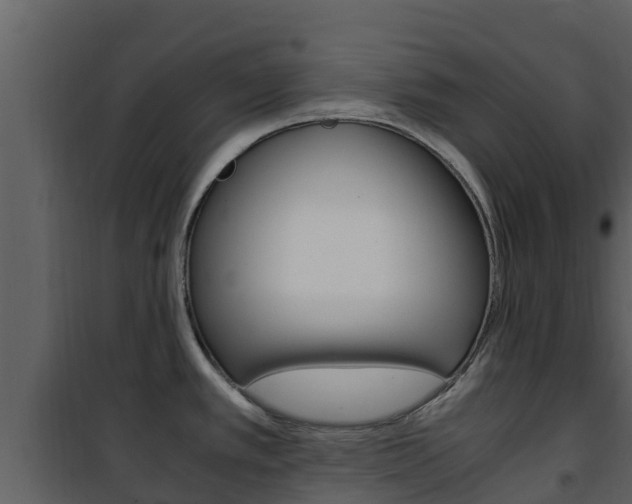 X0000101991389200807180814