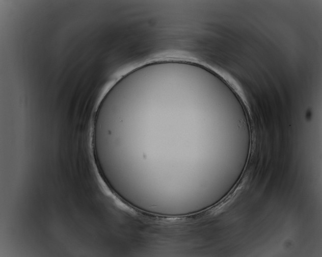 X0000101991390200807180814