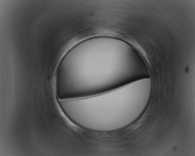 X0000101991391200807180814