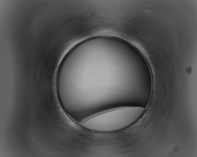 X0000101991392200807180814
