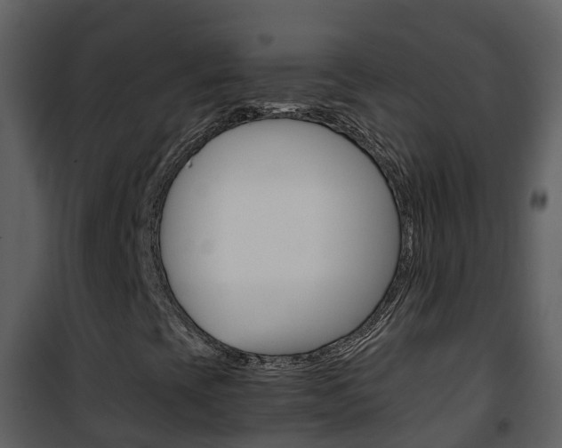 X0000101991393200807180813