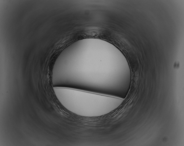 X0000101991394200807180813