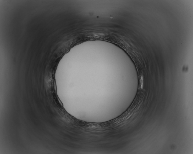 X0000101991395200807180813