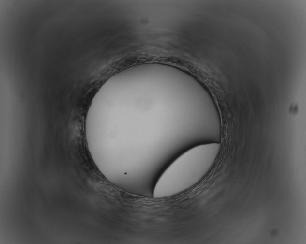 X0000101991397200807180813