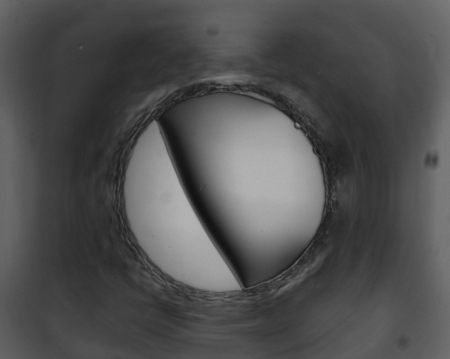 X0000101991398200807180813