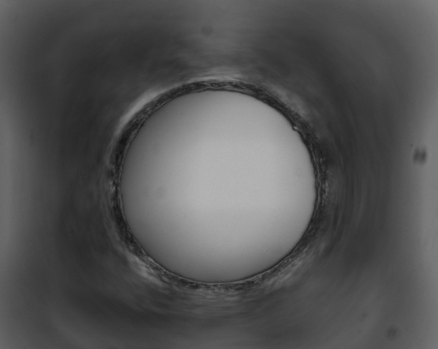X0000101991400200807180813