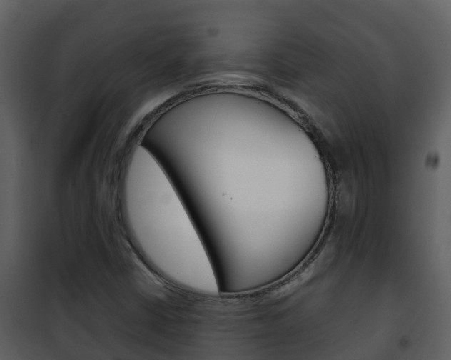 X0000101991402200807180813