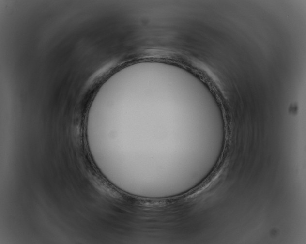 X0000101991403200807180813