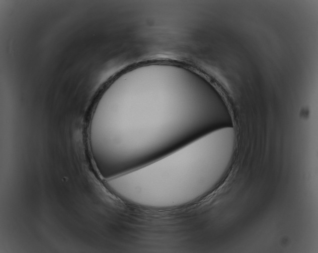X0000101991404200807180813