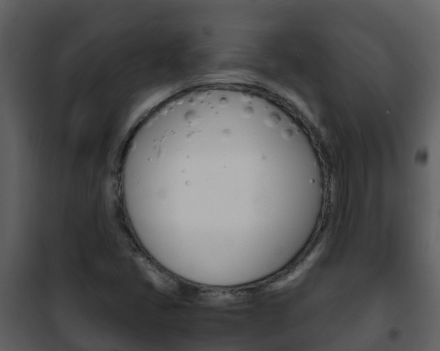 X0000101991405200807180813