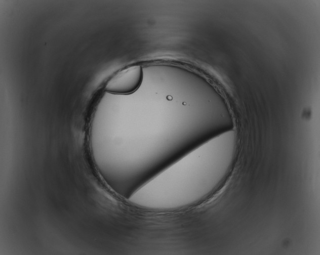 X0000101991406200807180813