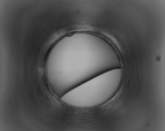 X0000101991407200807180813