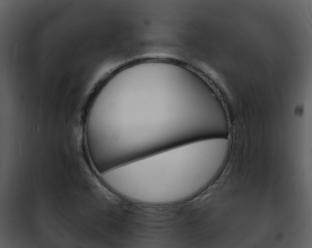 X0000101991408200807180813