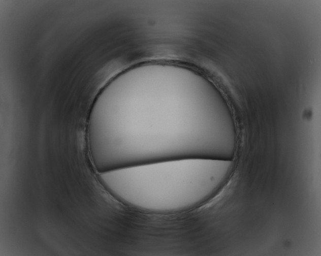 X0000101991409200807180813
