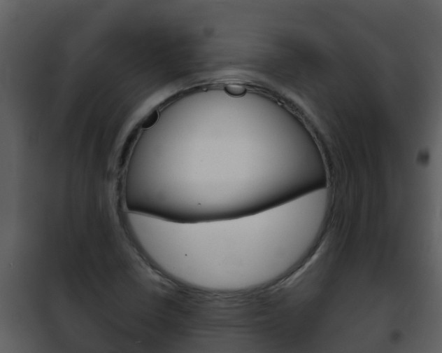 X0000101991410200807180813