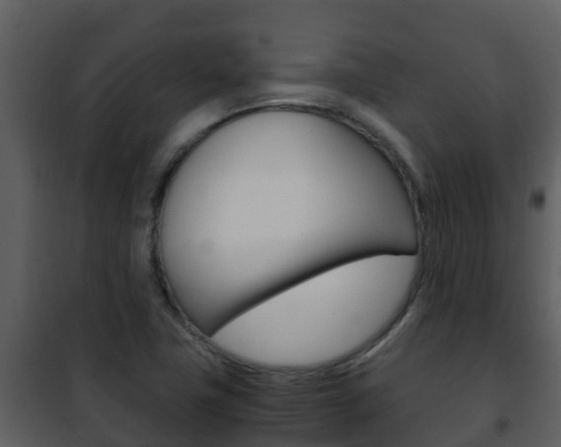 X0000101991411200807180813