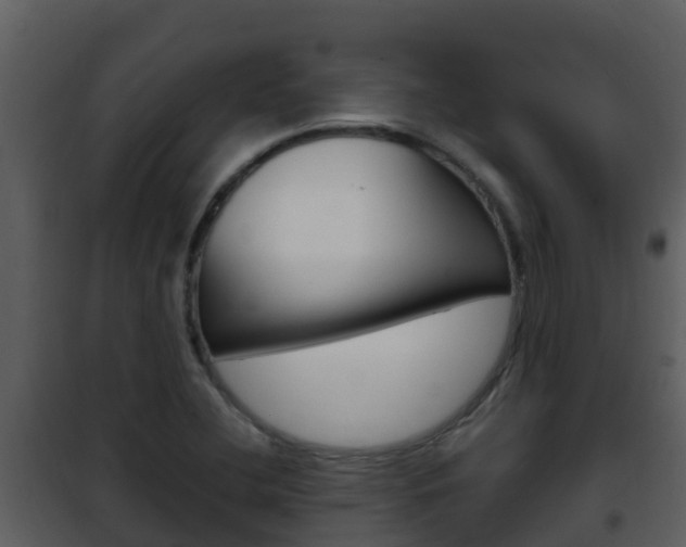 X0000101991412200807180813