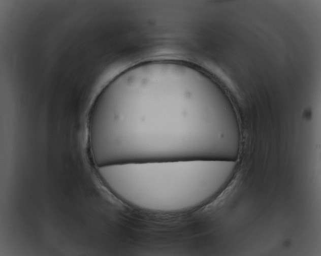 X0000101991413200807180813