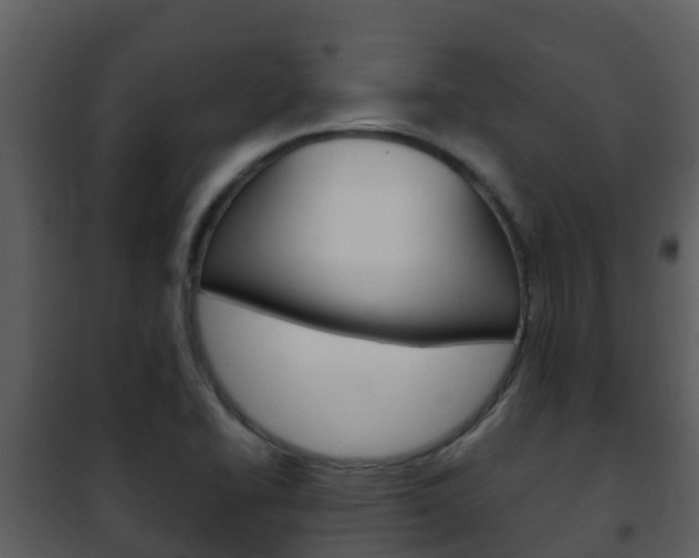 X0000101991414200807180813