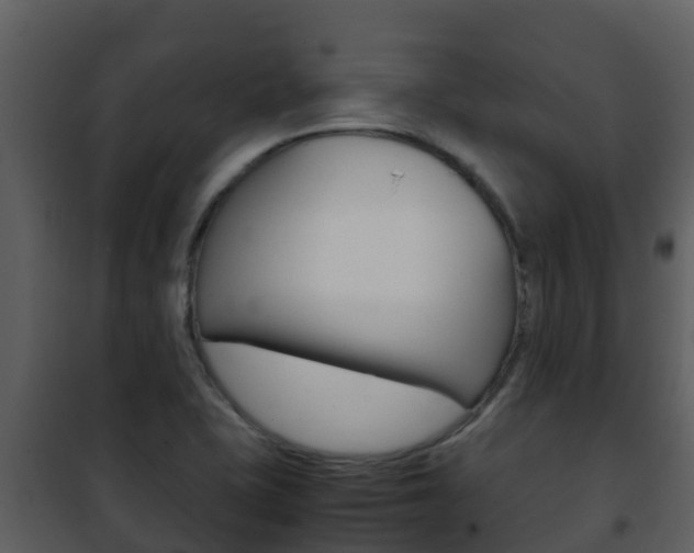 X0000101991415200807180813