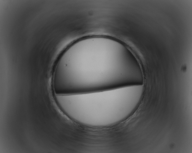X0000101991416200807180813