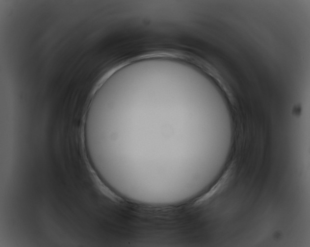 X0000101991417200807180813