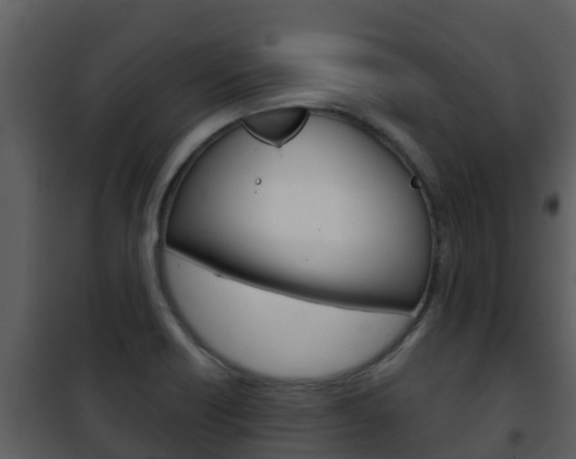 X0000101991418200807180813
