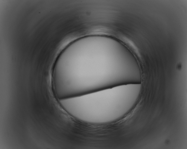 X0000101991419200807180813