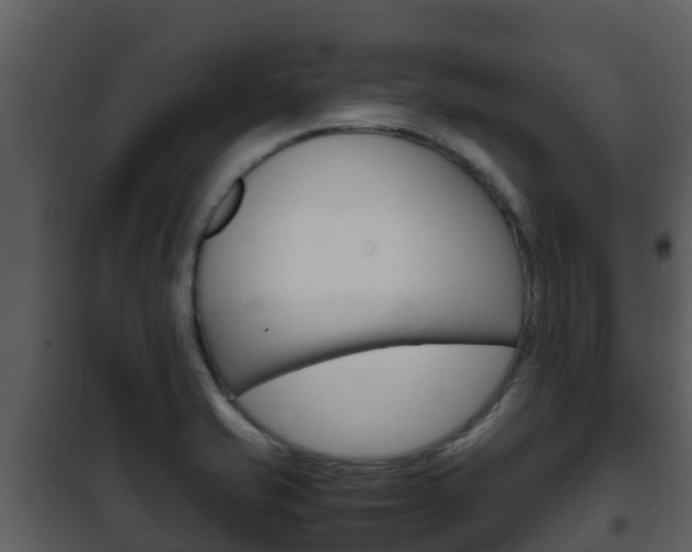 X0000101991421200807180813