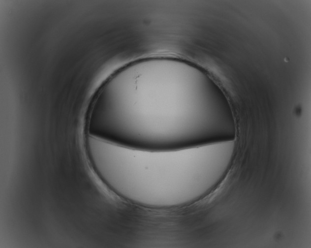 X0000101991422200807180813