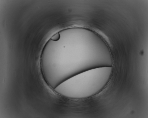 X0000101991423200807180813