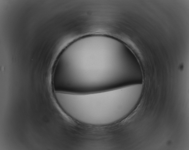 X0000101991424200807180813