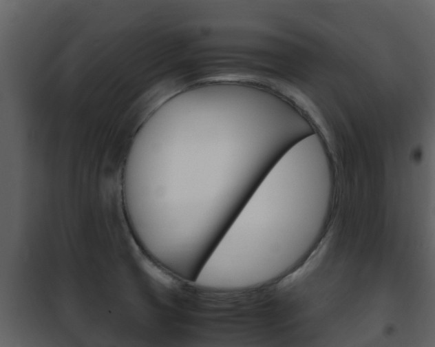 X0000101991425200807180814