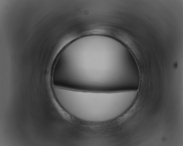 X0000101991426200807180814