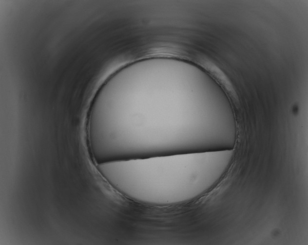 X0000101991427200807180814