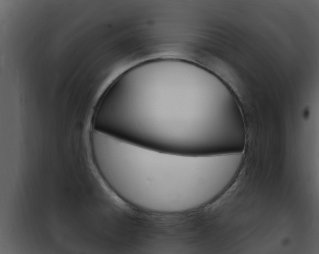 X0000101991428200807180814