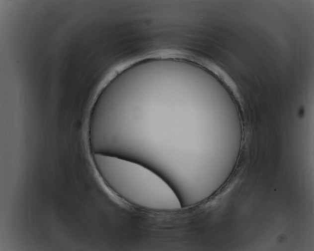 X0000101991429200807180814