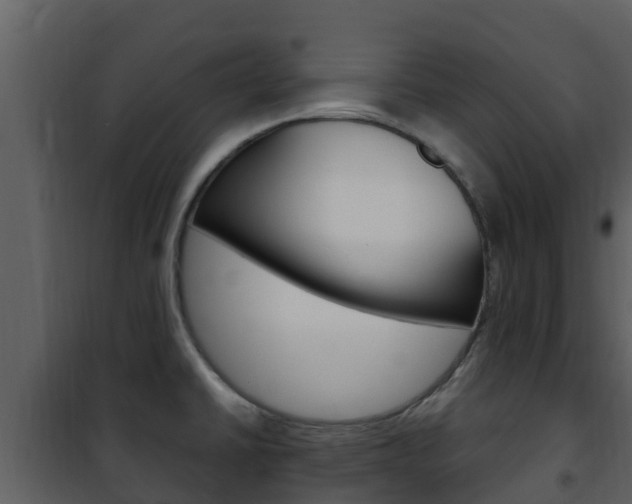 X0000101991430200807180814
