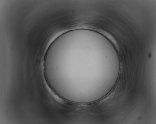 X0000101991431200807180814