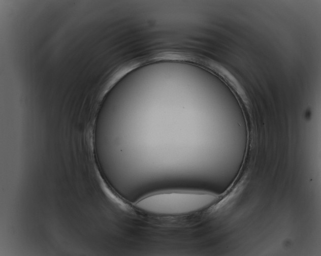X0000101991433200807180814
