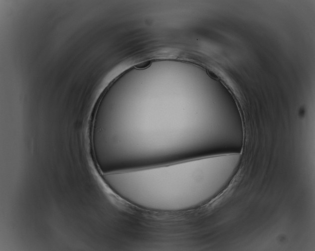 X0000101991434200807180814