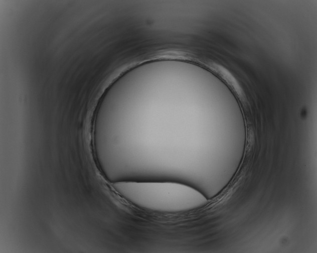 X0000101991435200807180814