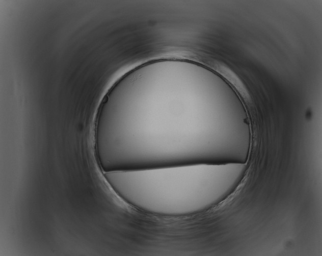 X0000101991436200807180814