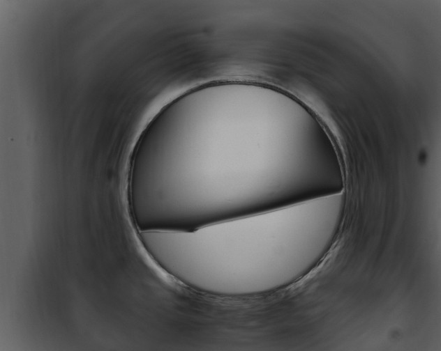 X0000101991437200807180814