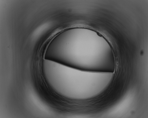 X0000101991438200807180814
