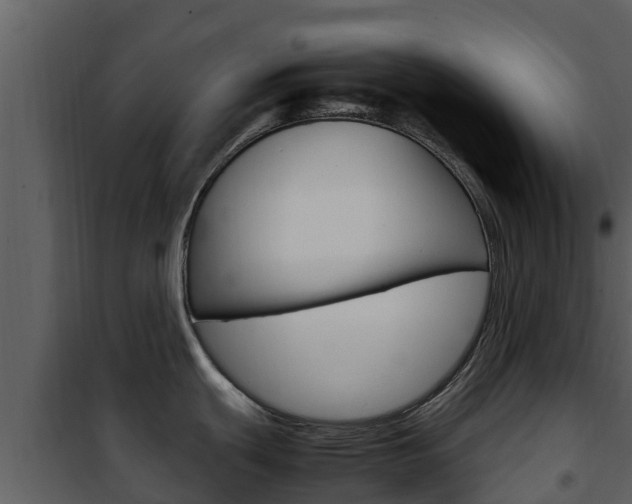 X0000101991439200807180814