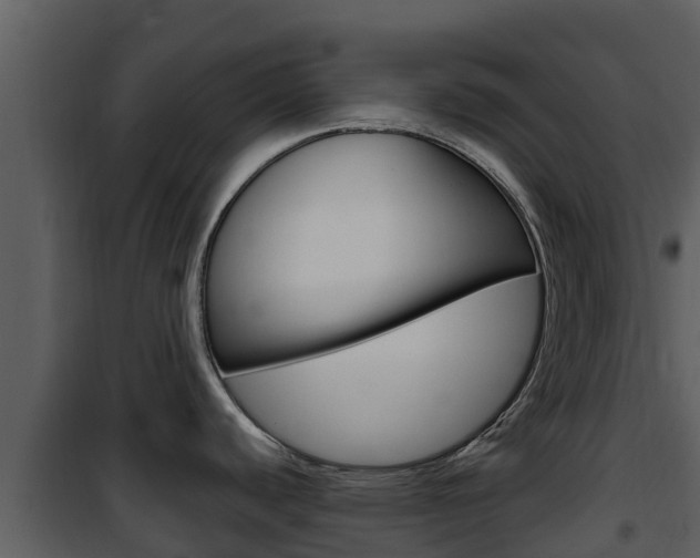 X0000101991440200807180814