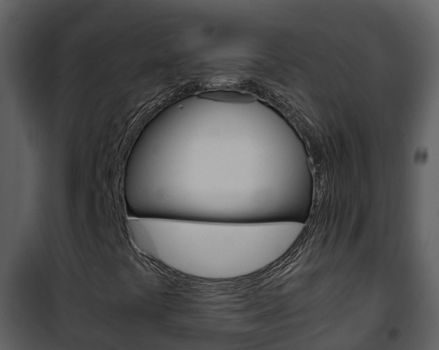 X0000101991441200807180813
